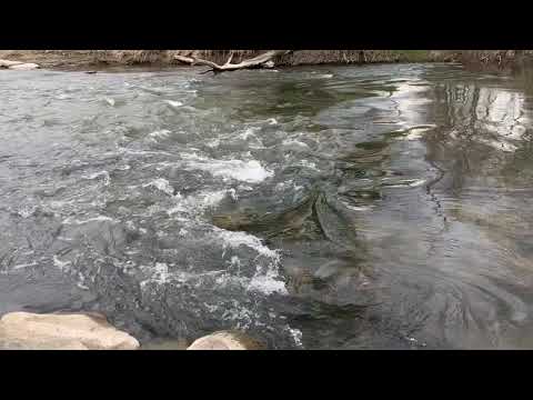 ASMR Water Sounds