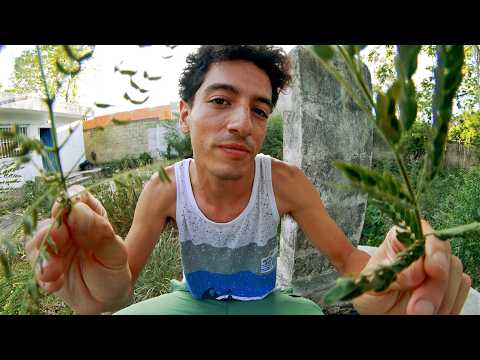 ASMR outdoors - you're gonna be okay