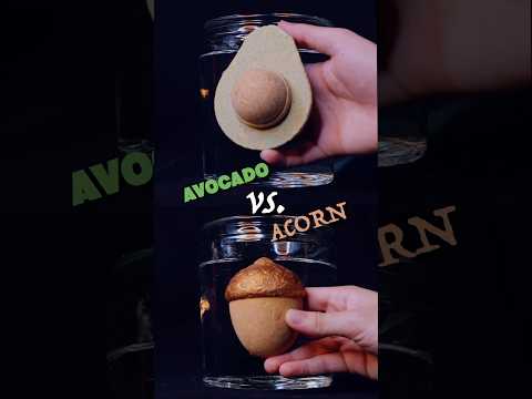 ASMR Bath Bomb Battles ⚔️