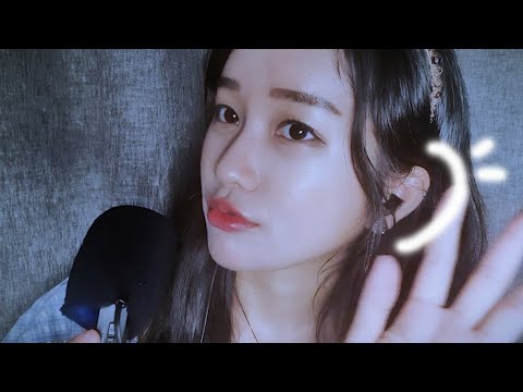 브러쉬로 귀청소👂No talking ASMR