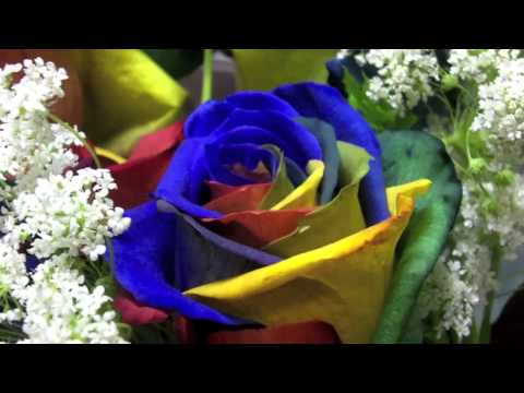 レインボーローズ / Rainbow Roses - Quick Japan No. 15 [Watch it in HD!]