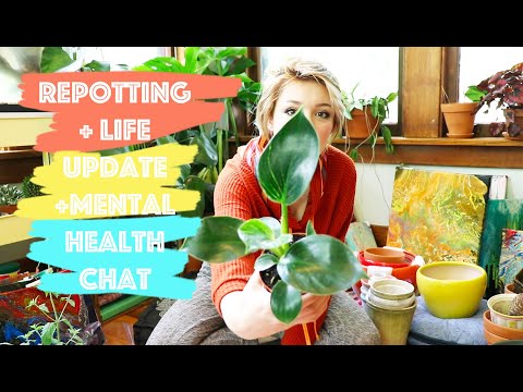 Repotting House Plants + Life Update + Mental Health