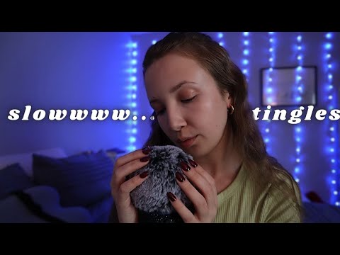 ASMR for those who like it slow & gentle ✨💤