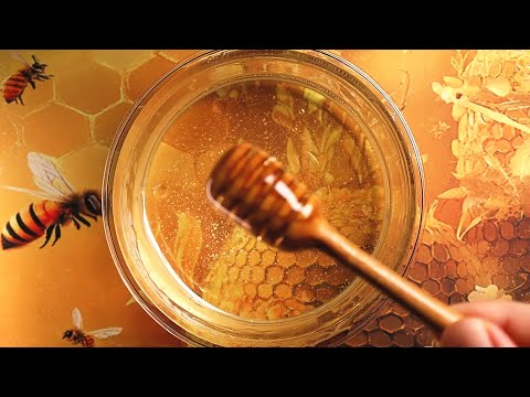 The Ultimate Honey ASMR 3 Hours 🍯