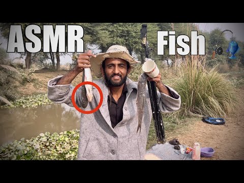 ASMR Fishing 🎣 