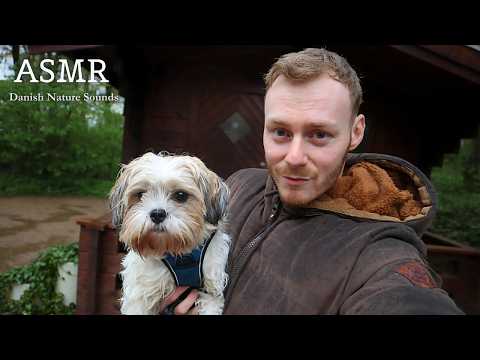 ASMR | Walk with My Dog in Danish Nature | Day & Night Forest Sounds 🌲🐾