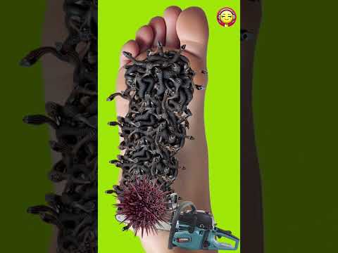 Foot 🦶 ke niche Kitanu #shorts #suaraasmr