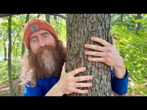ASMR 🌳 Outdoors ft. @whispersoft 🌳 (Lofi)