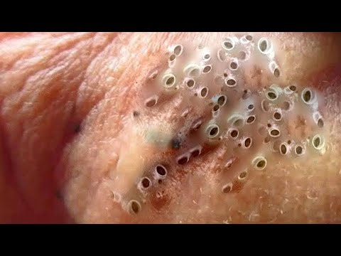‎تلميع وتنظيف الجلد الطبيعي المدور