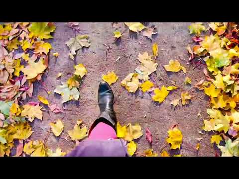 Asmr cowgirl boots walking in Canadian colourful leaves fast sounds