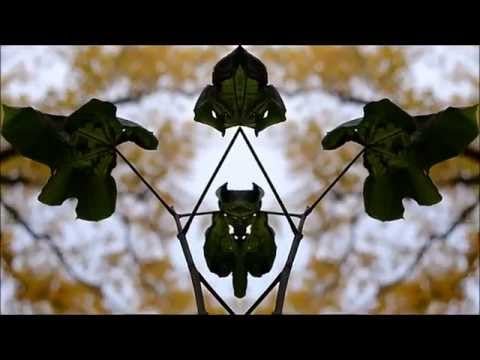 ✺PSYCHEDELIC Forest Guided MEDITATION ASMR✺
