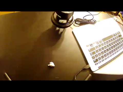 ASMR Stream 6 (this time it's e-pookie)