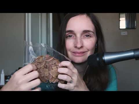 Relax With Me ~ Let's hang out Whispered ASMR