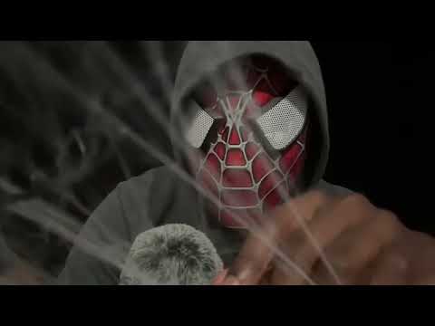 ASMR Spiders Crawling Up Your Back, Snakes Slithering down (+Spiderwebs) 3hours