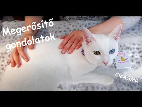 Magyar ASMR @ Megerősítő gondolatok Irinával / Positive thoughts w Irina