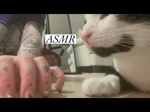 ASMR 💕 Lofi Tapping & Scratching Sounds for sleep 😴😴