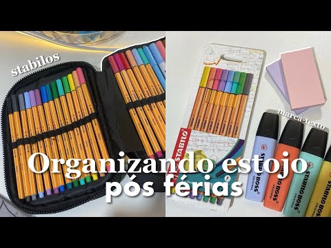 Organizando meu estojo escolar 