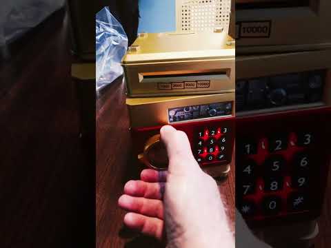 A Bank For My Cat's Money