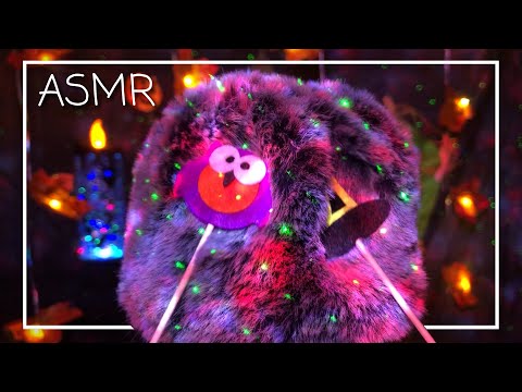ASMR Cozy Halloween Brushing 🦉🎃 (No Talking)