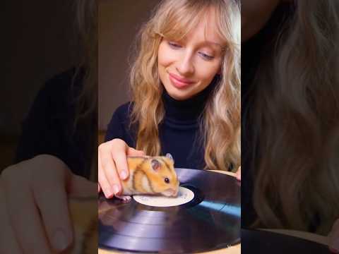 {ASMR} IT’S THE SOUNDS #asmr #shorts #shortsvideo #reels #explore #aishorts