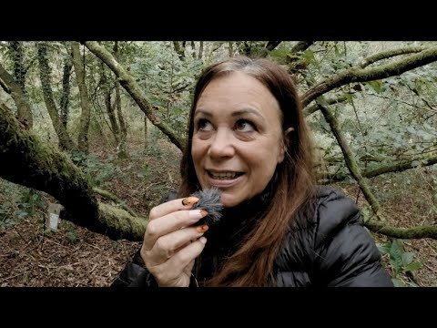 The (Real) Enchanted Wood ASMR