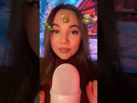 🦖🐿️🧸#asmr #hsyasmr #asmrsounds #asmrvideo #relax