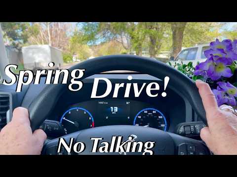 ASMR Peaceful Spring Drive! (NO TALKING VERSION) Relaxing Ride Through Town & Country~Nature Sounds