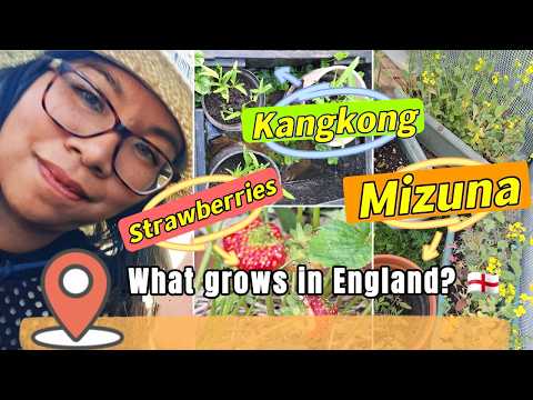 Fruit & Vegetable Garden Tour 🥬 What Grows in a Medium-Sized Garden in England? 🍅