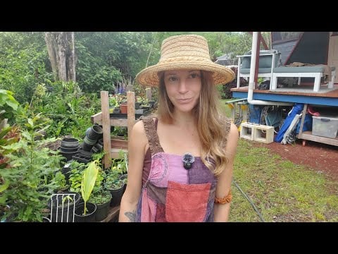 Gardening ASMR (Part 1) 