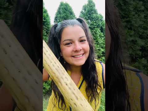ASMR Rain Stick & 2000s hairstyle #asmr  #nostalgia    #hairasmr   #rainstick #srunch #rainstick