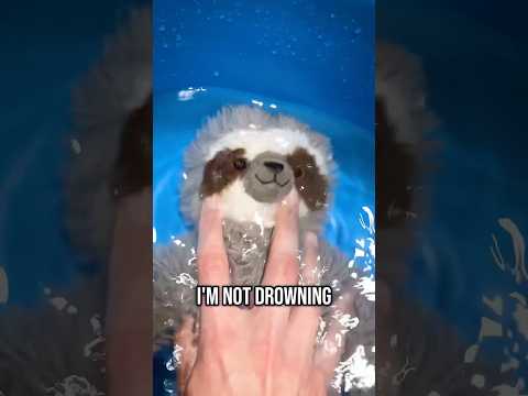 Did I traumatized my sloth?#asmr #asmrtriggers #asmrvideos #asmrvideos #asmrsleep #sloth