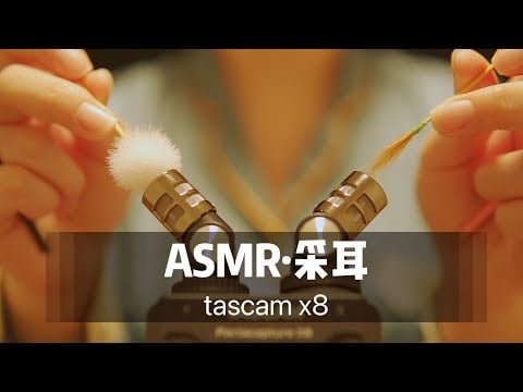 【ASMR】no talking| ear cleaning| 超舒服无人声采耳掏耳。Tascam x8采耳助眠声控哄睡，无损音质