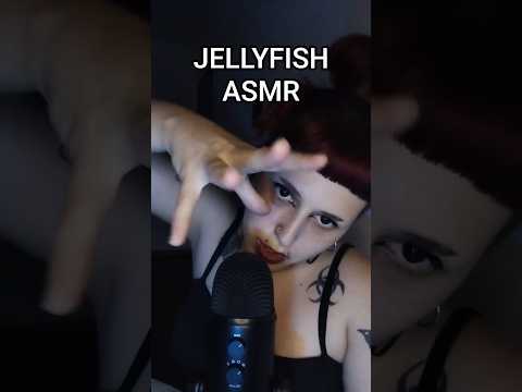 JELLYFISH (medusa) ଳ #asmr #asmrsounds