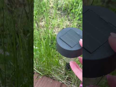 Outdoor tapping & scratching | asmr