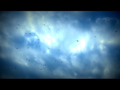 [ASMR] Binaural Breathy Whispering, Blowing, and Breathing In Your Ears