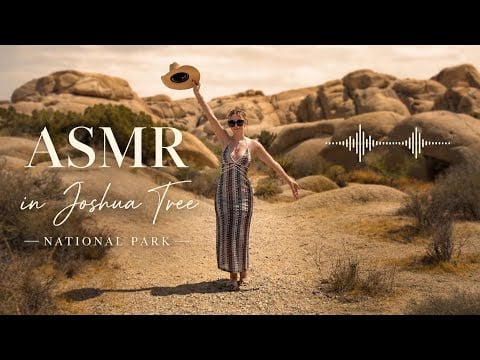 ASMR in JOSHUA TREE NATIONAL PARK🇺🇸
