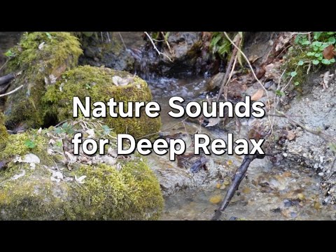 24/7 Fall Asleep with relaxing nauture Sounds of water and Birds