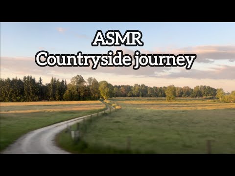 ASMR 🌙 Countryside journey - Train sounds and visuals (no talking)