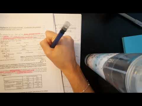 ASMR REVISANDO EXERCÍCIOS📝✨️