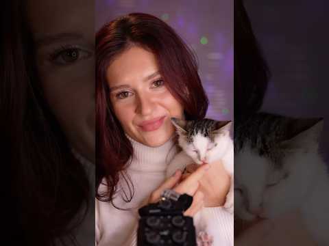 #asmr 🐱 ti presento Pupa 🩷 #asmrsounds #asmrvideo #asmrcommunity #asmreating