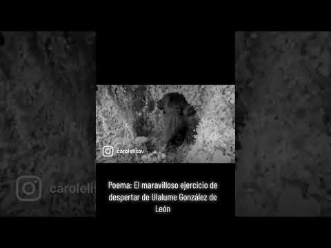 El maravilloso ejercicio de despertar #softspoken #asmr