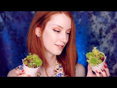 Chatty Catch Up ASMR / Rambling / Soft Spoken