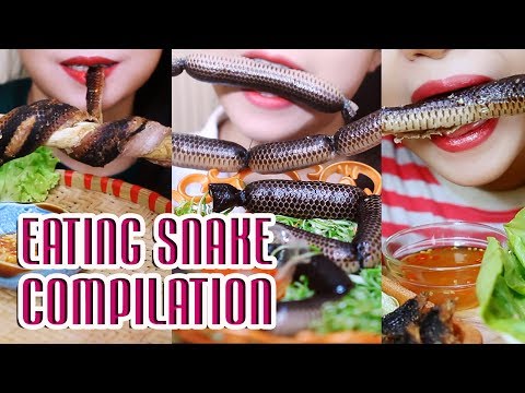 ASMR EATING SNAKE ( EXOTIC FOOD ) EATING SOUNDS compilation NEW 2018 | LINH-ASMR