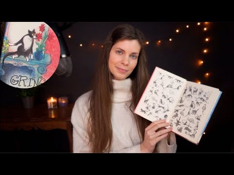 ASMR | bedtime story - verhaal voorlezen (Vlaams fluisteren)