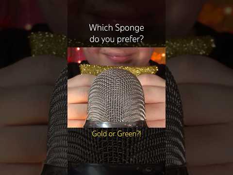 Which Sponge do you prefer? ✨ #asmr