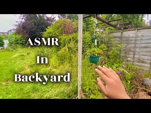 ASMR  In My Backyard 🪴🌳🎋