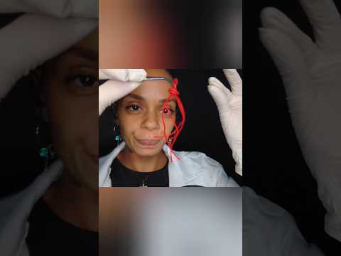 Anomalia no seu Córtex Pré-frontal 😨