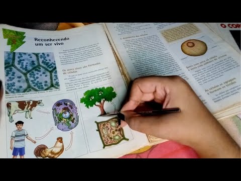 ASMR tracing com livros antigos de escola e conversa aleatória suave e baixinha #caseiro