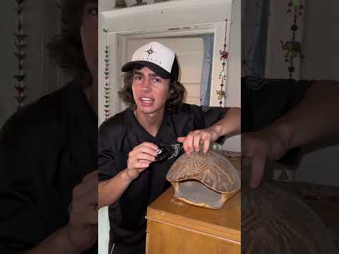 Doing ASMR with random things in my grandparents house #asmr #asmrsounds