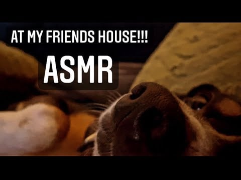 ASMR |  ⚠️NO ONE ASKED FOR THIS But it was fun making it :) ft My friend that likes aggressive Asmr